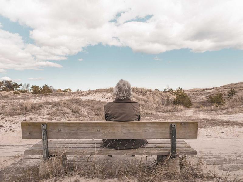 교토 아라시야마 프라이빗 벚꽃 여정